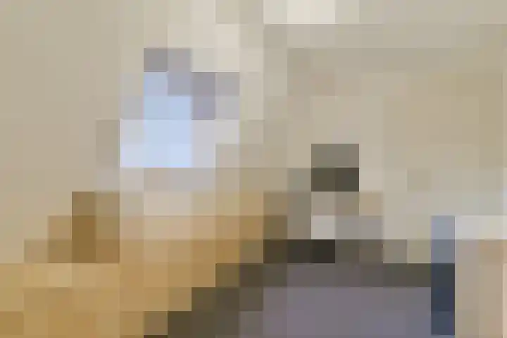 Brielselaan 40 B Rotterdam thumbnail 35