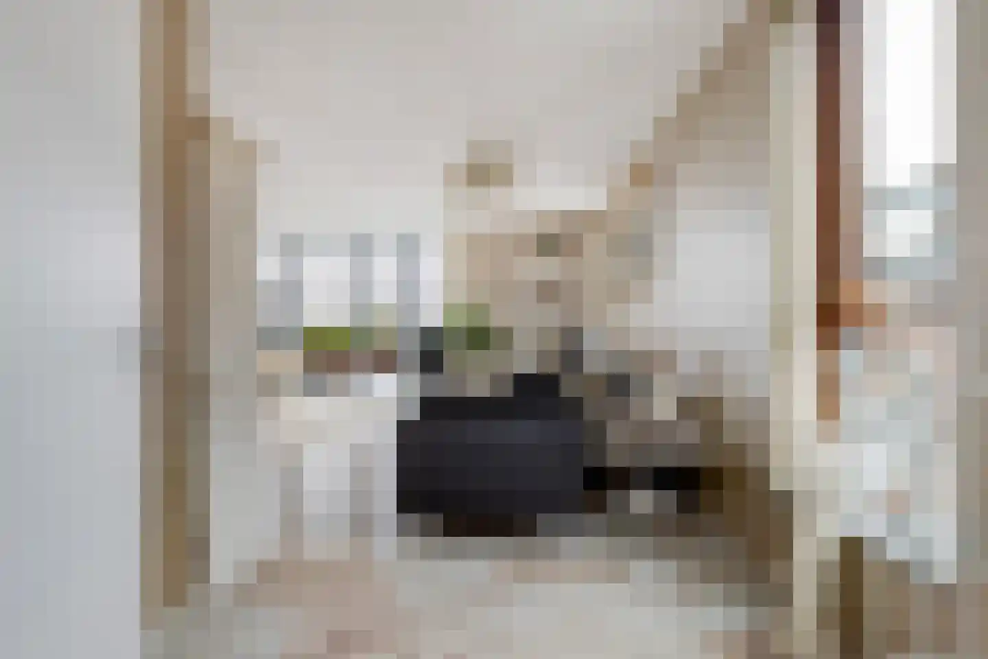 Brielselaan 46 A Rotterdam thumbnail 14