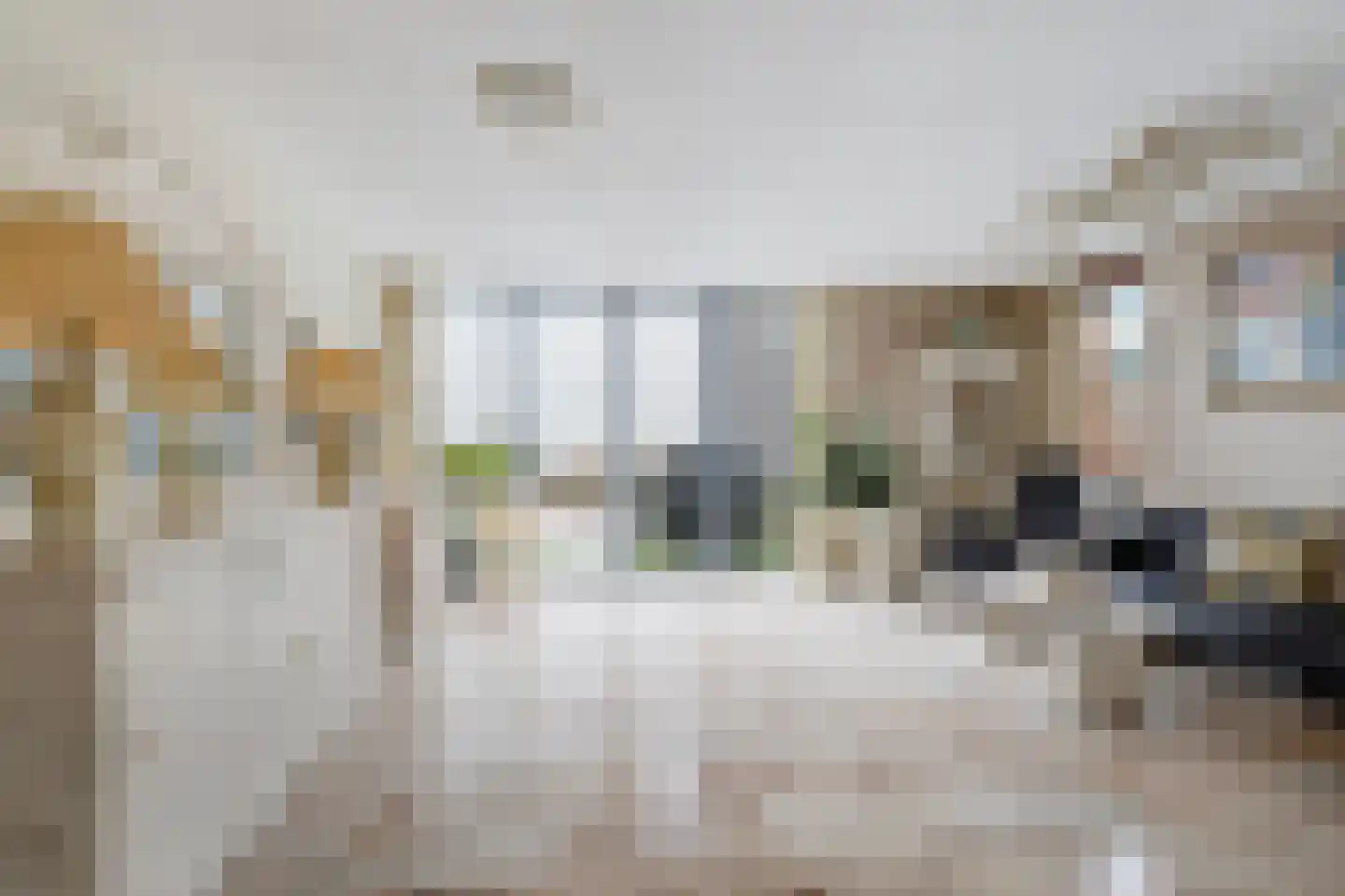 Brielselaan 46 A Rotterdam thumbnail 16