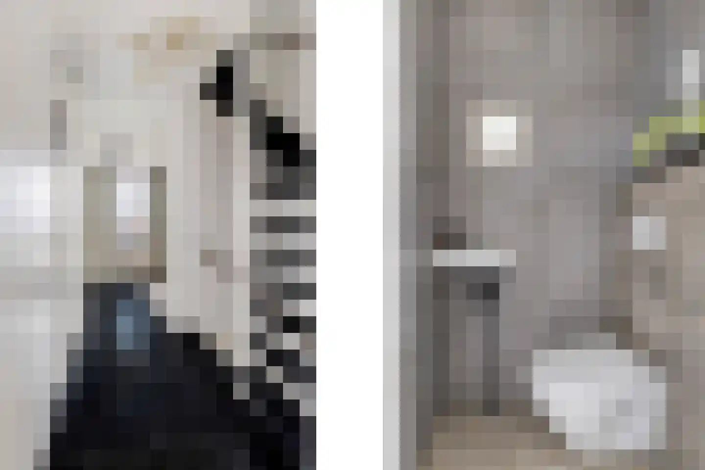 Brielselaan 46 A Rotterdam thumbnail 8