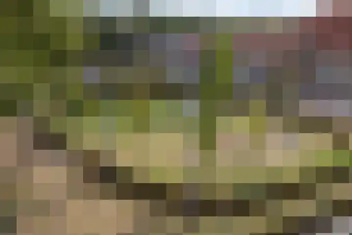 Brielselaan 60 C Rotterdam thumbnail 10