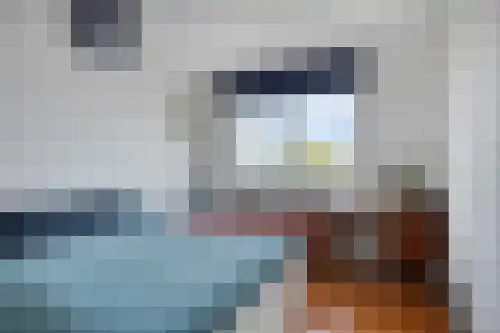 Brielselaan 60 C Rotterdam thumbnail 12