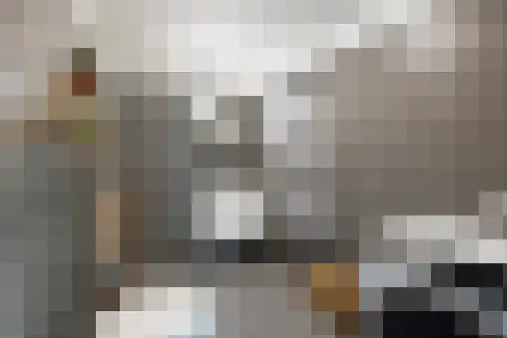 Brielselaan 60 C Rotterdam thumbnail 16