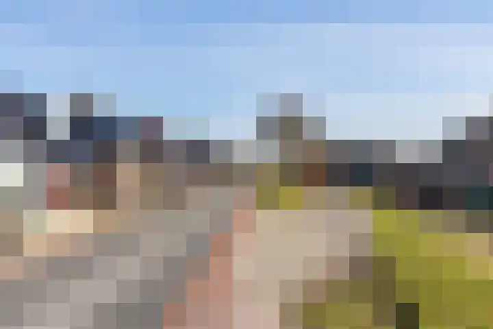 Brielsemeer 11 Zoetermeer thumbnail 10