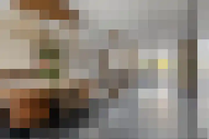 Brielsemeer 11 Zoetermeer thumbnail 12