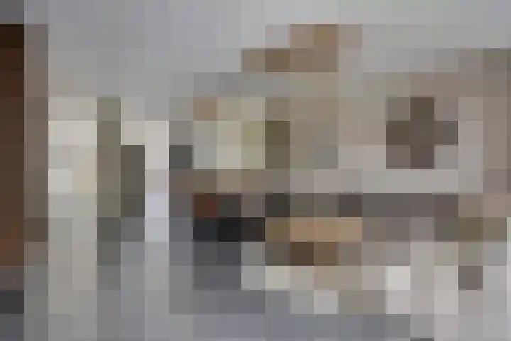 Brielsemeer 11 Zoetermeer thumbnail 13
