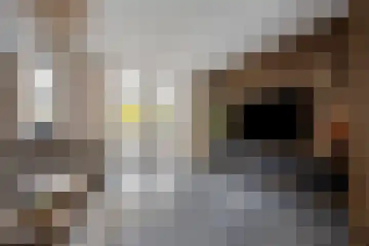 Brielsemeer 11 Zoetermeer thumbnail 14