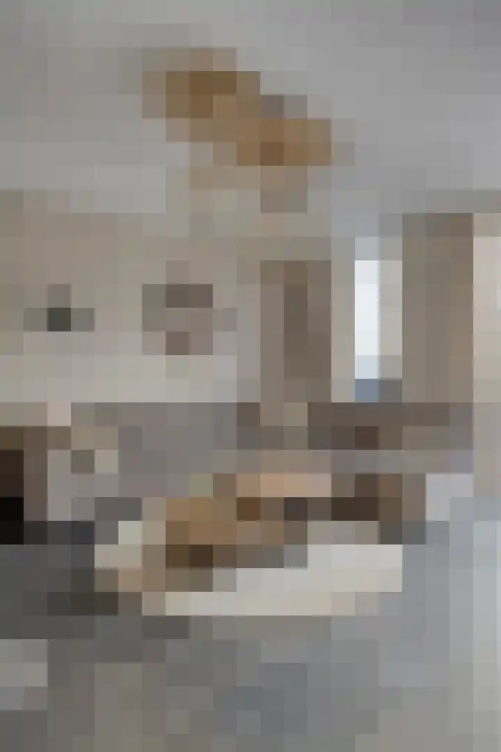 Brielsemeer 11 Zoetermeer thumbnail 16