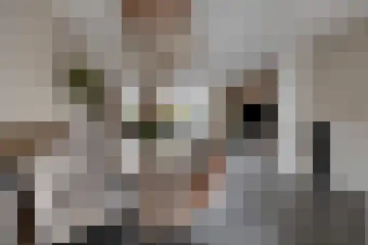 Brielsemeer 11 Zoetermeer thumbnail 17