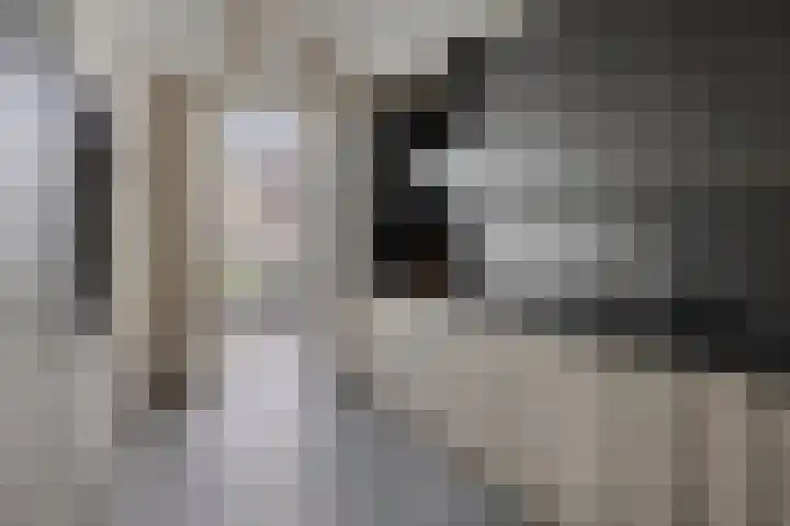 Brielsemeer 11 Zoetermeer thumbnail 18