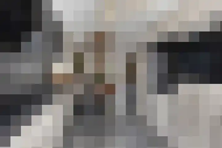 Brielsemeer 11 Zoetermeer thumbnail 19