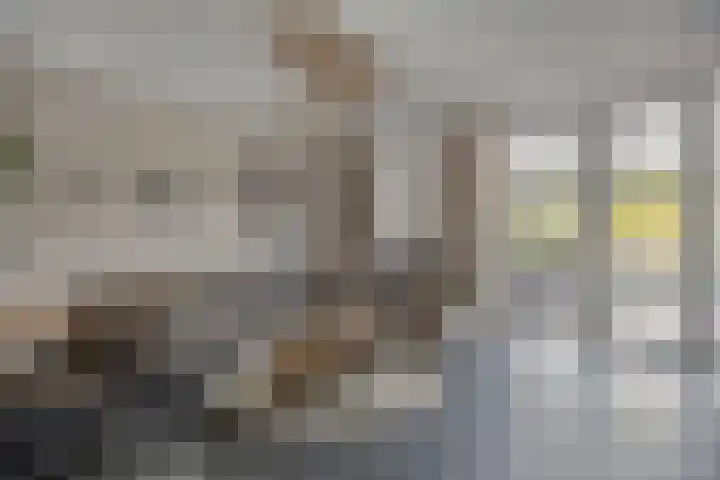 Brielsemeer 11 Zoetermeer foto 2