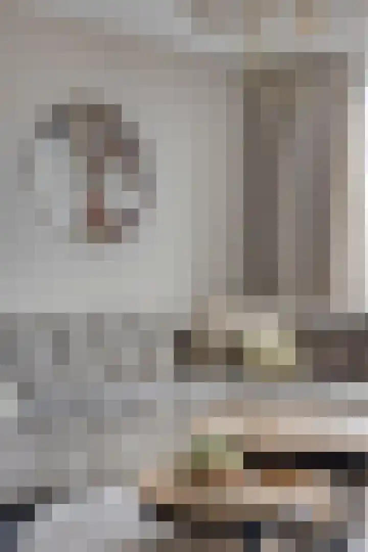 Brielsemeer 11 Zoetermeer thumbnail 21