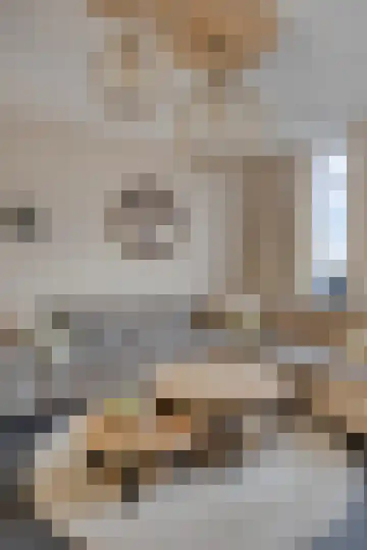 Brielsemeer 11 Zoetermeer thumbnail 22