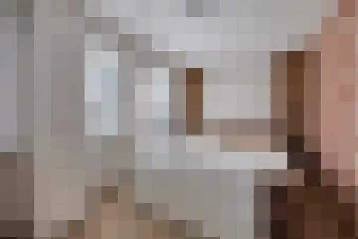 Brielsemeer 11 Zoetermeer thumbnail 24