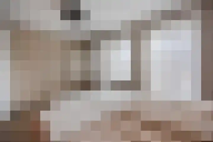 Brielsemeer 11 Zoetermeer thumbnail 25