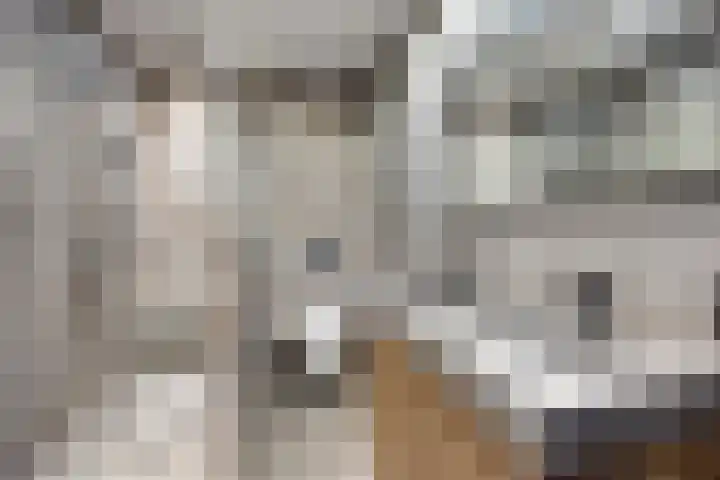 Brielsemeer 11 Zoetermeer thumbnail 26
