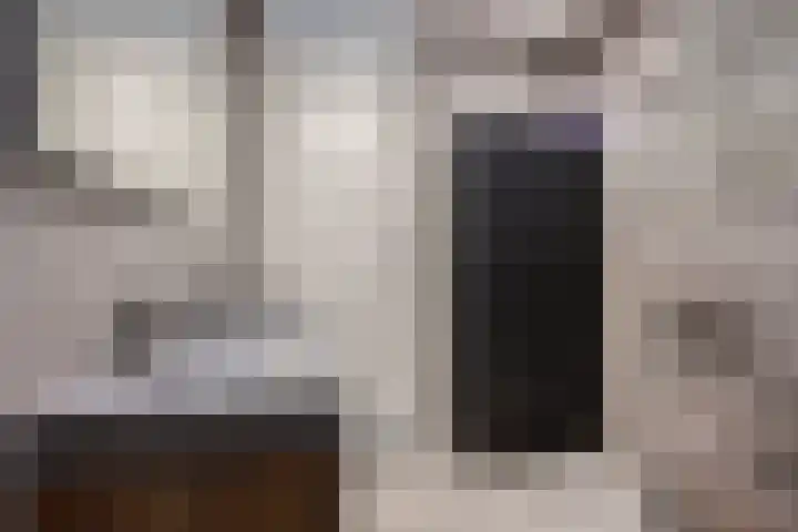 Brielsemeer 11 Zoetermeer thumbnail 28