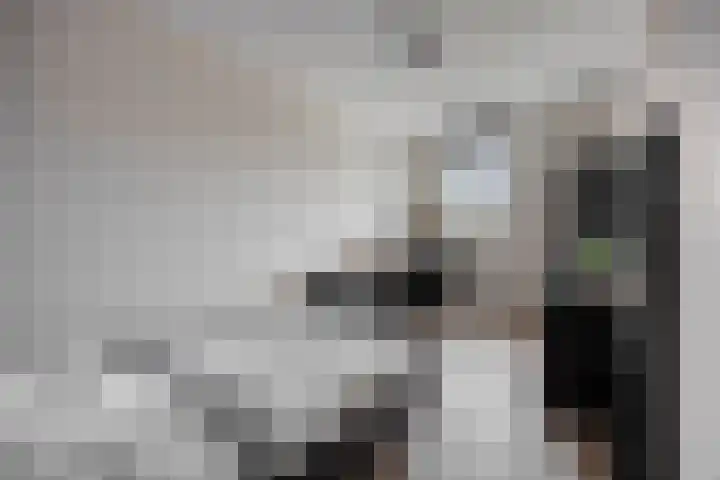 Brielsemeer 11 Zoetermeer thumbnail 29