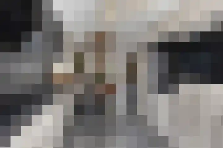 Brielsemeer 11 Zoetermeer foto 3