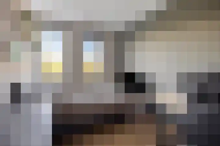 Brielsemeer 11 Zoetermeer thumbnail 32