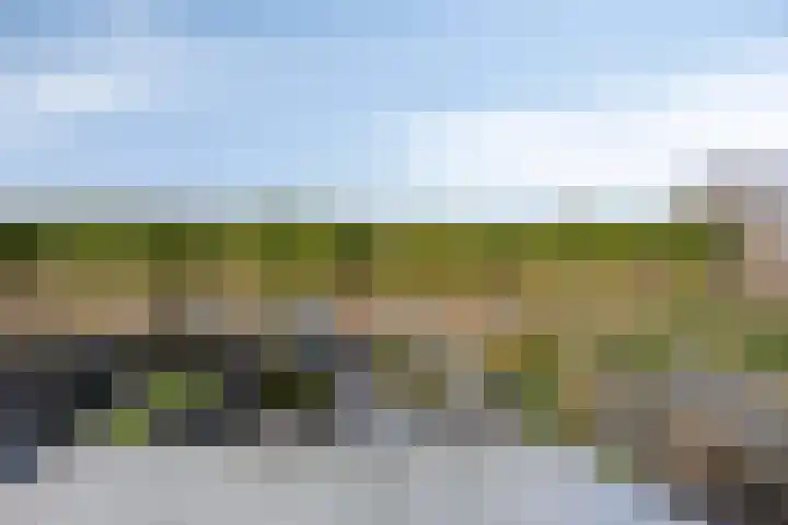 Brielsemeer 11 Zoetermeer thumbnail 34