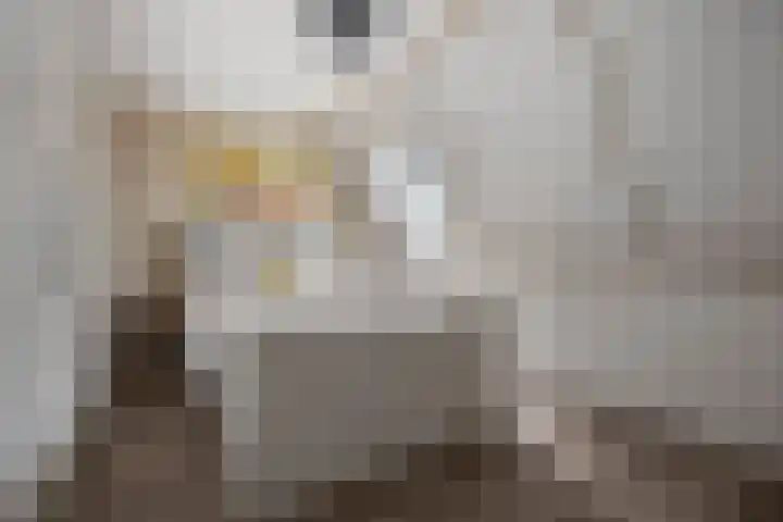 Brielsemeer 11 Zoetermeer thumbnail 36