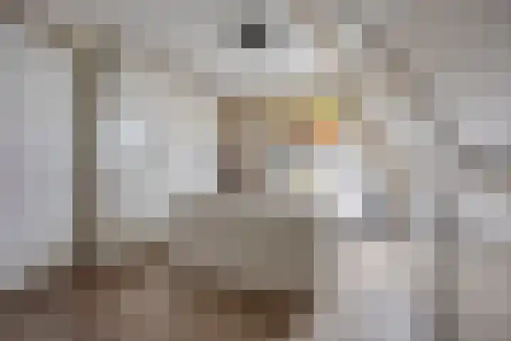 Brielsemeer 11 Zoetermeer thumbnail 37