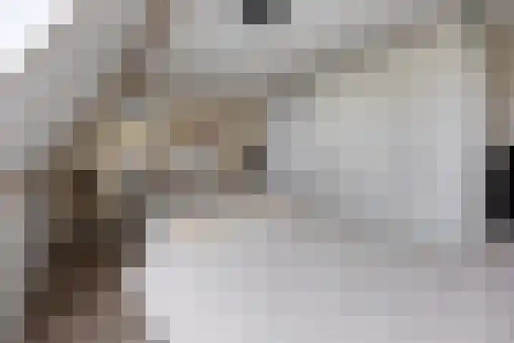 Brielsemeer 11 Zoetermeer thumbnail 38