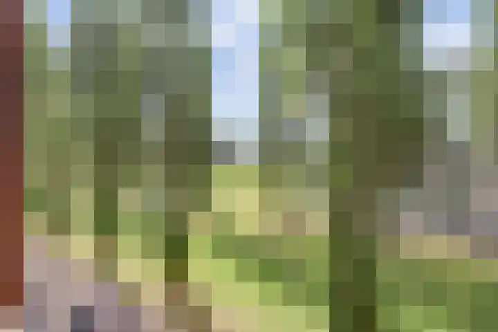 Brielsemeer 11 Zoetermeer thumbnail 39
