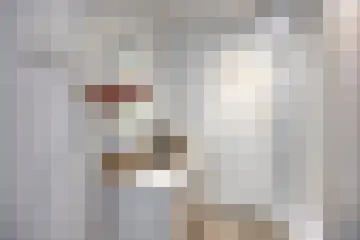 Brielsemeer 11 Zoetermeer thumbnail 40