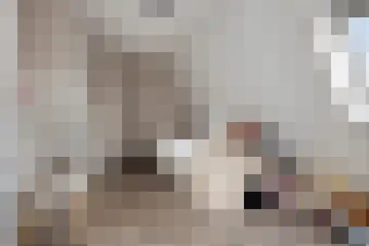 Brielsemeer 11 Zoetermeer thumbnail 42