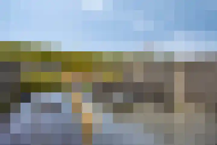 Brielsemeer 11 Zoetermeer thumbnail 46