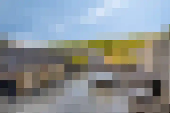 Brielsemeer 11 Zoetermeer thumbnail 47