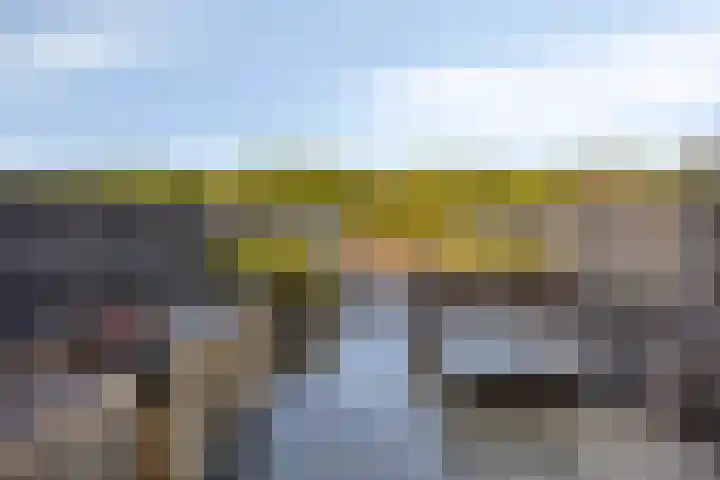 Brielsemeer 11 Zoetermeer thumbnail 48