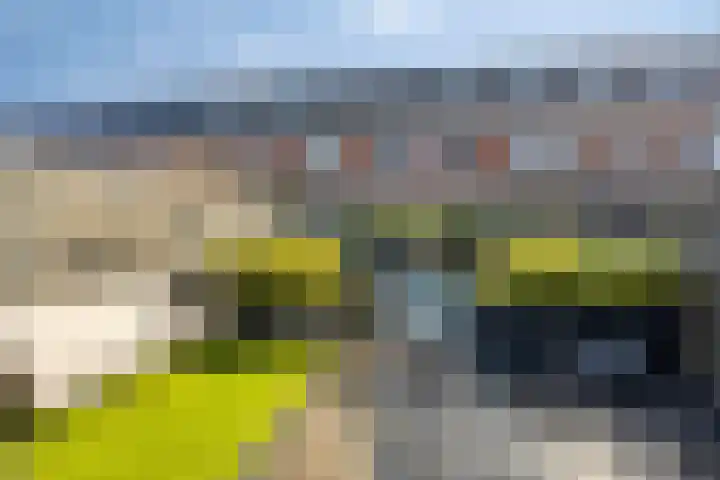 Brielsemeer 11 Zoetermeer thumbnail 49