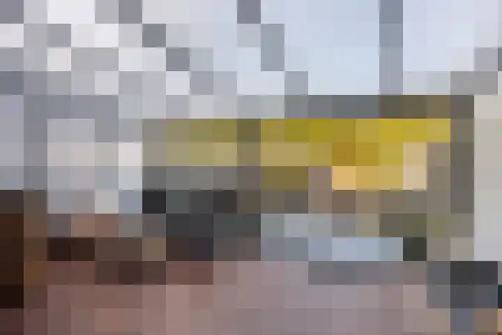 Brielsemeer 11 Zoetermeer thumbnail 5