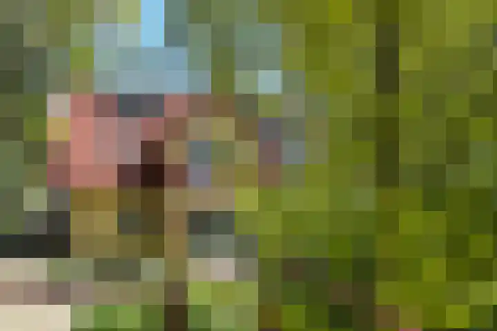 Brielsemeer 11 Zoetermeer thumbnail 51