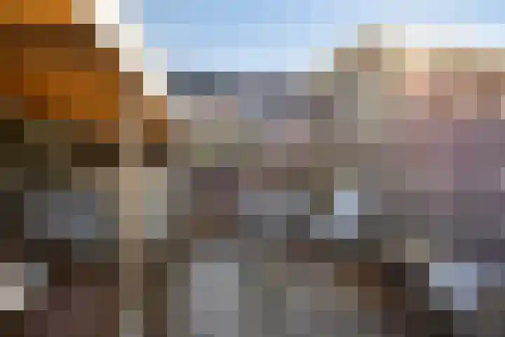Brielsemeer 11 Zoetermeer thumbnail 51