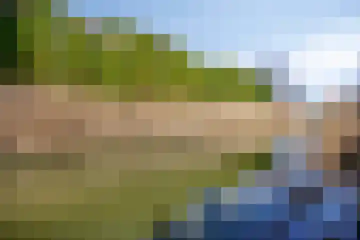 Brielsemeer 11 Zoetermeer thumbnail 52