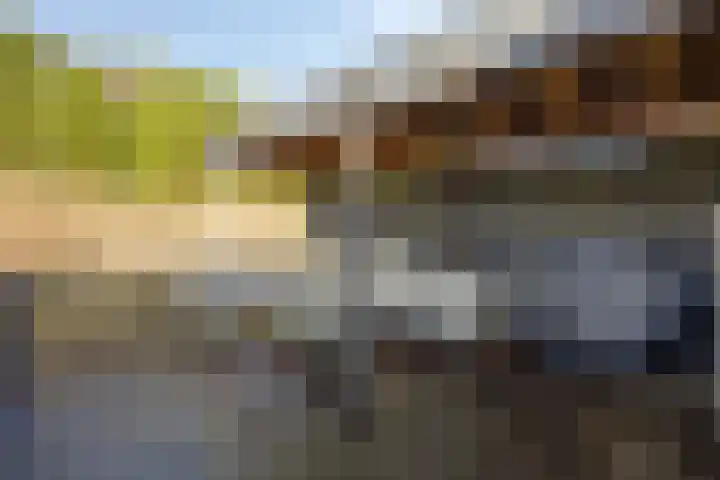 Brielsemeer 11 Zoetermeer thumbnail 54