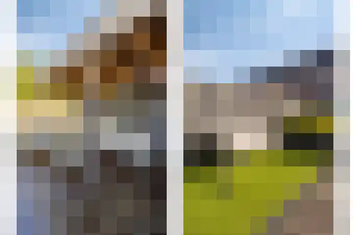 Brielsemeer 11 Zoetermeer thumbnail 55