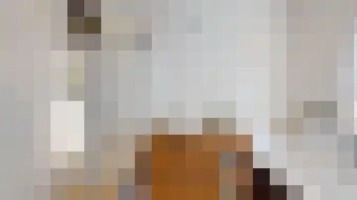 Brielsemeer 11 Zoetermeer thumbnail 7