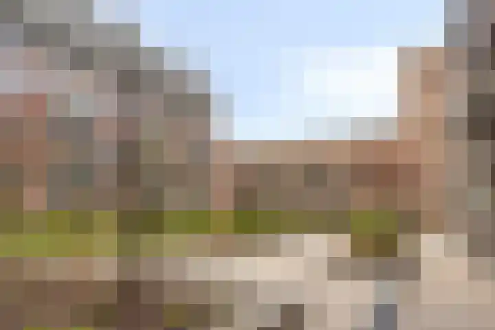 Brielsemeer 11 Zoetermeer thumbnail 9