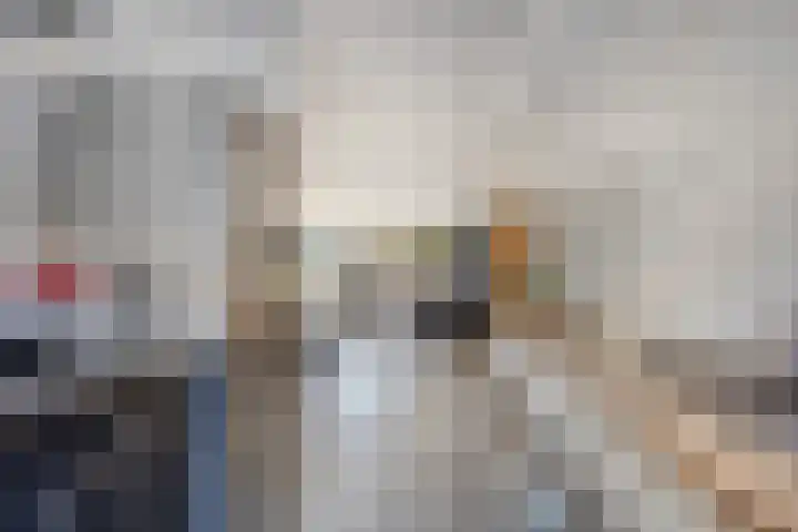 Brielsemeer 14 Purmerend thumbnail 17