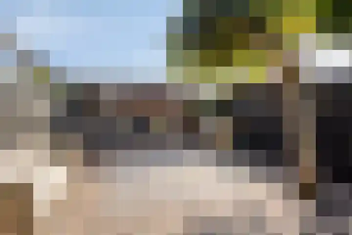 Brielsemeer 14 Purmerend thumbnail 6