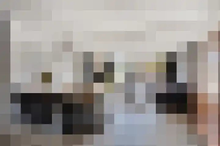 Brielsemeer 14 Purmerend thumbnail 9