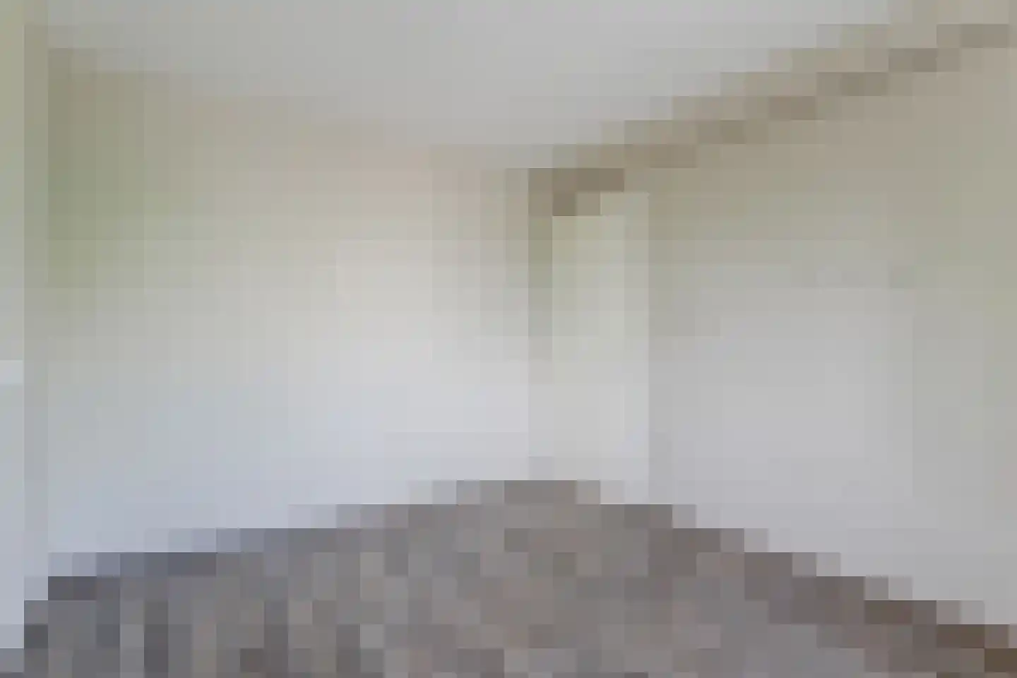 Brielsemeer 20 Purmerend thumbnail 15
