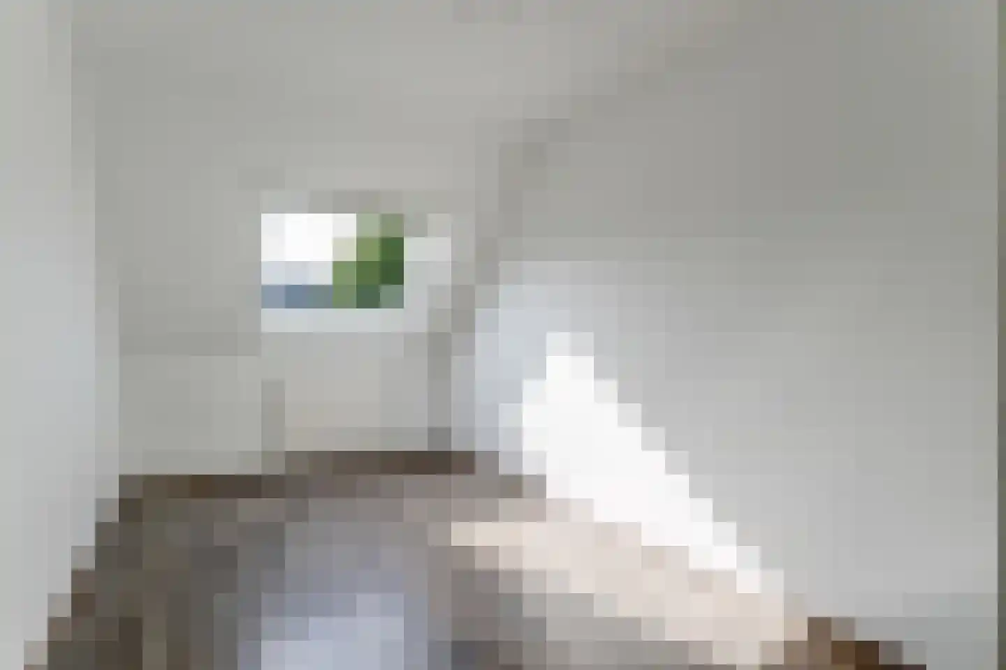 Brielsemeer 20 Purmerend thumbnail 18