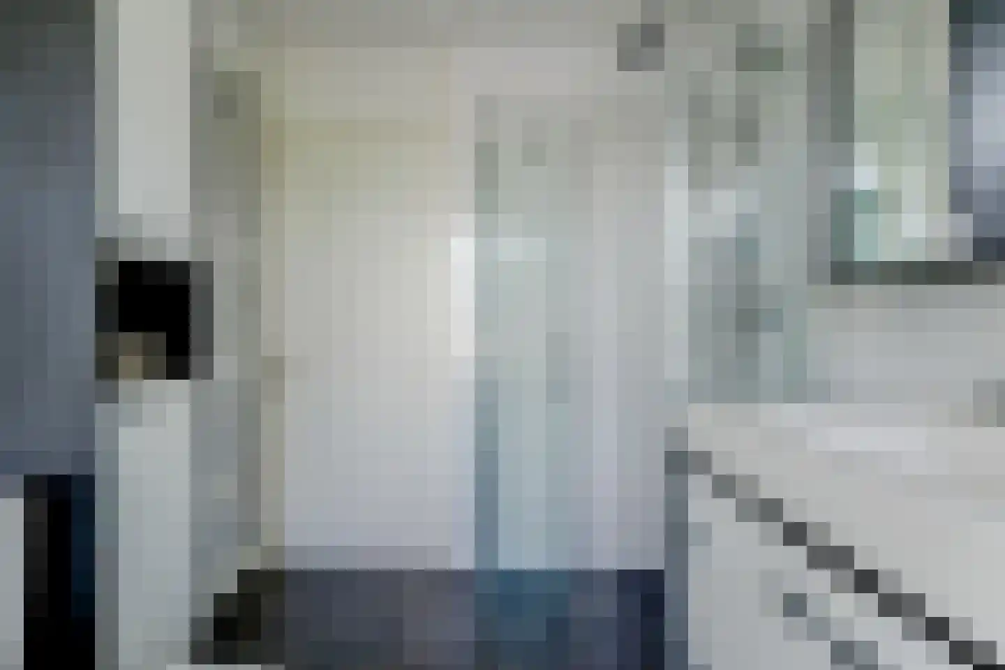 Brielsemeer 20 Purmerend thumbnail 21